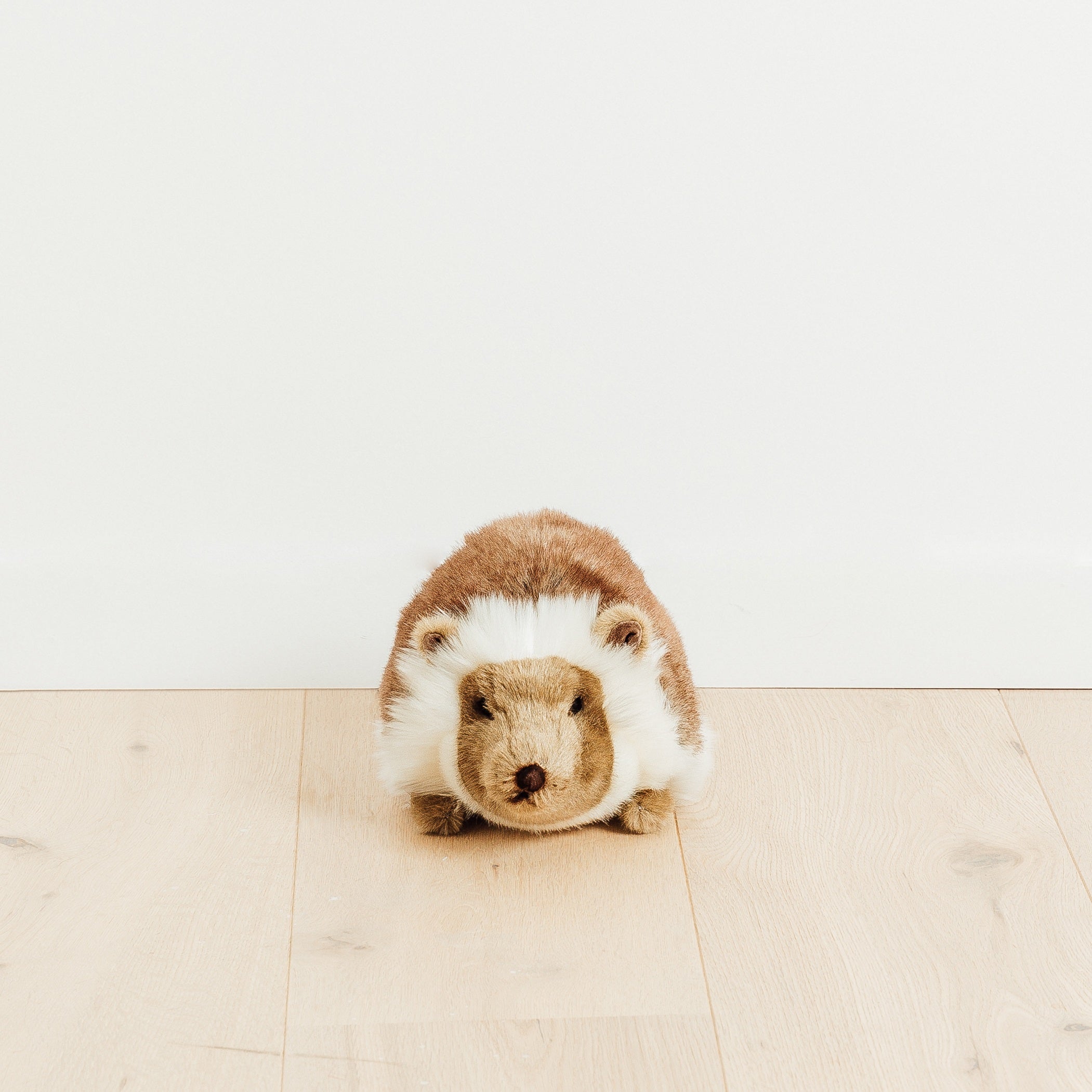 la-pelucherie-for-t-alfred-peluche-h-risson-20-cm image 7