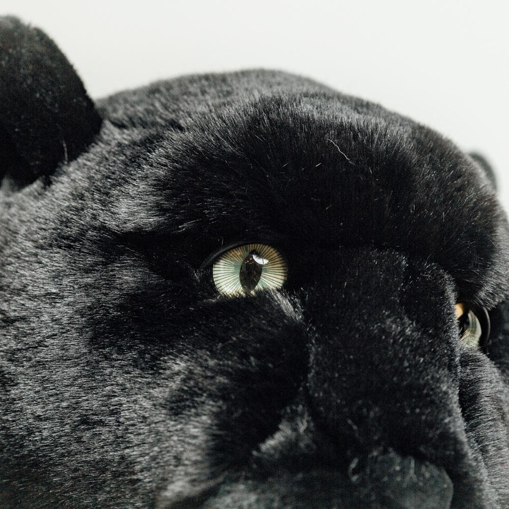 la-pelucherie-z-lie-panth-re-peluche-noire-30-cm-yeux-verts image 2
