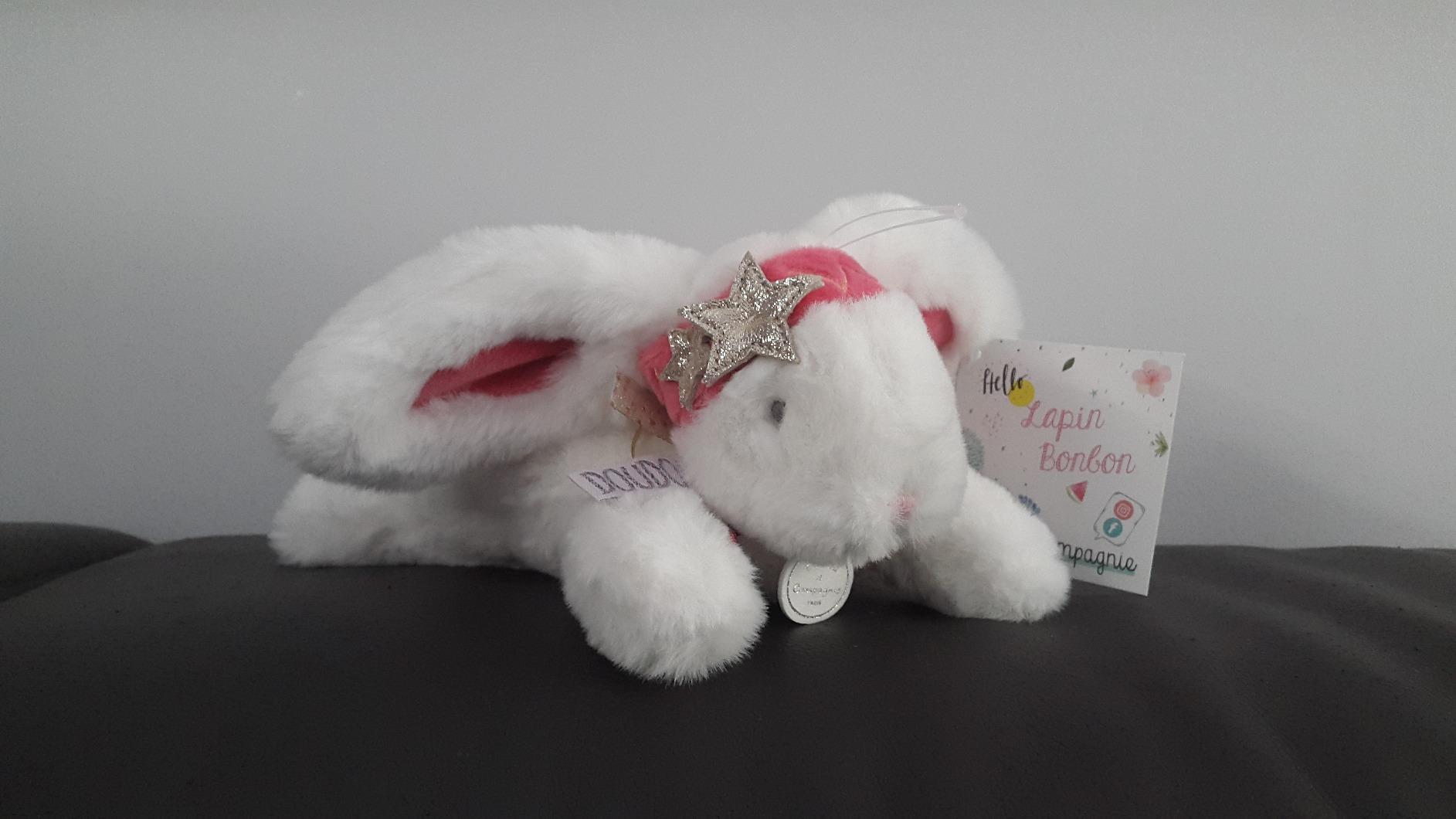 Joli lapin