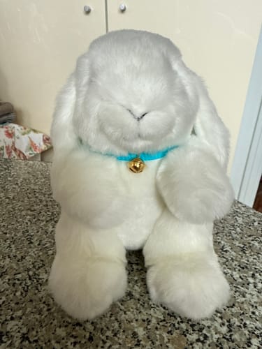 Doudou gris