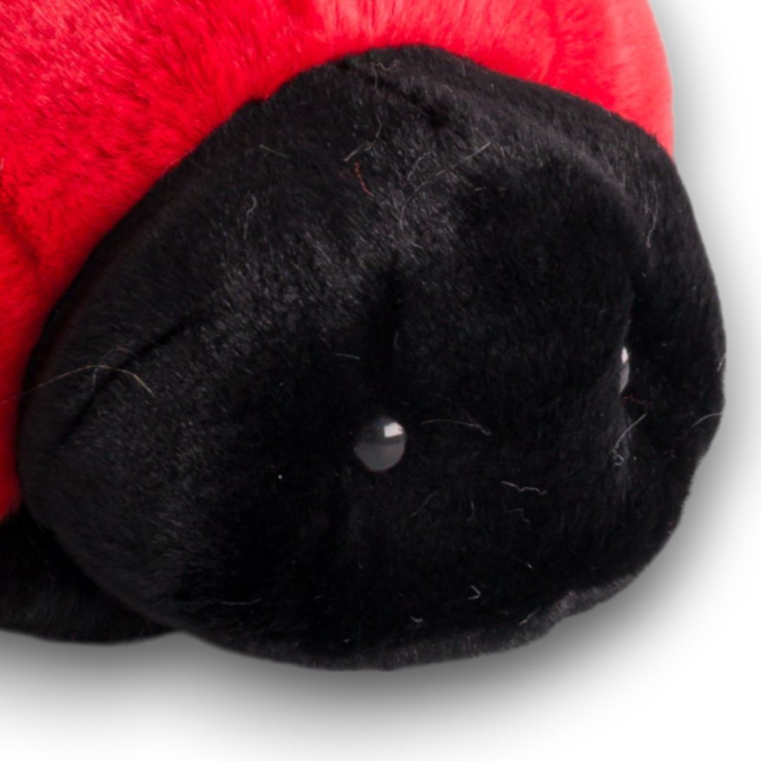 la-pelucherie-la-campagne-coccinelle-lily-peluche-petit-22-cm image 2