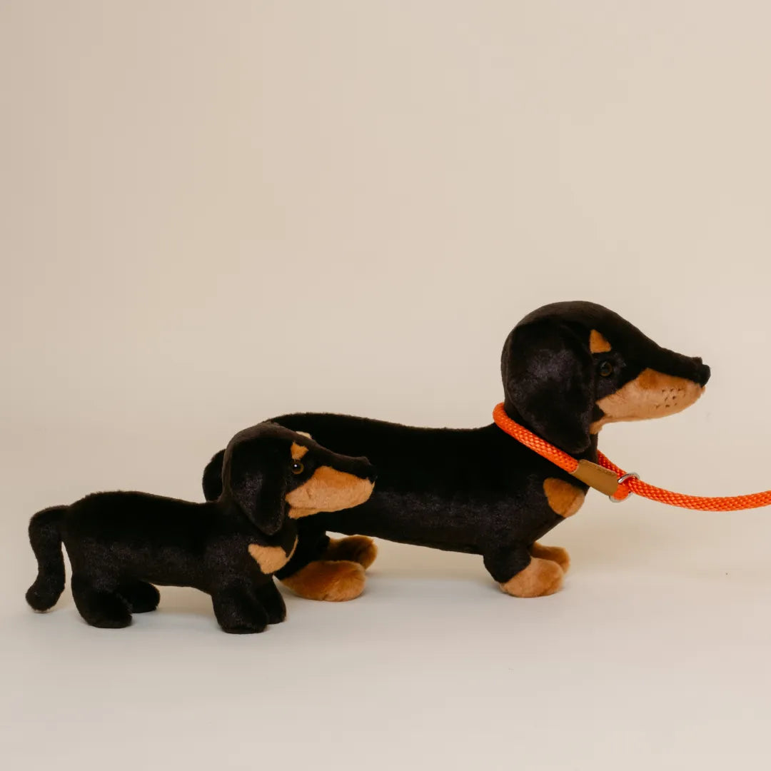 la-pelucherie-eug-ne-peluche-teckel-moyen-40-cm-marron image 5