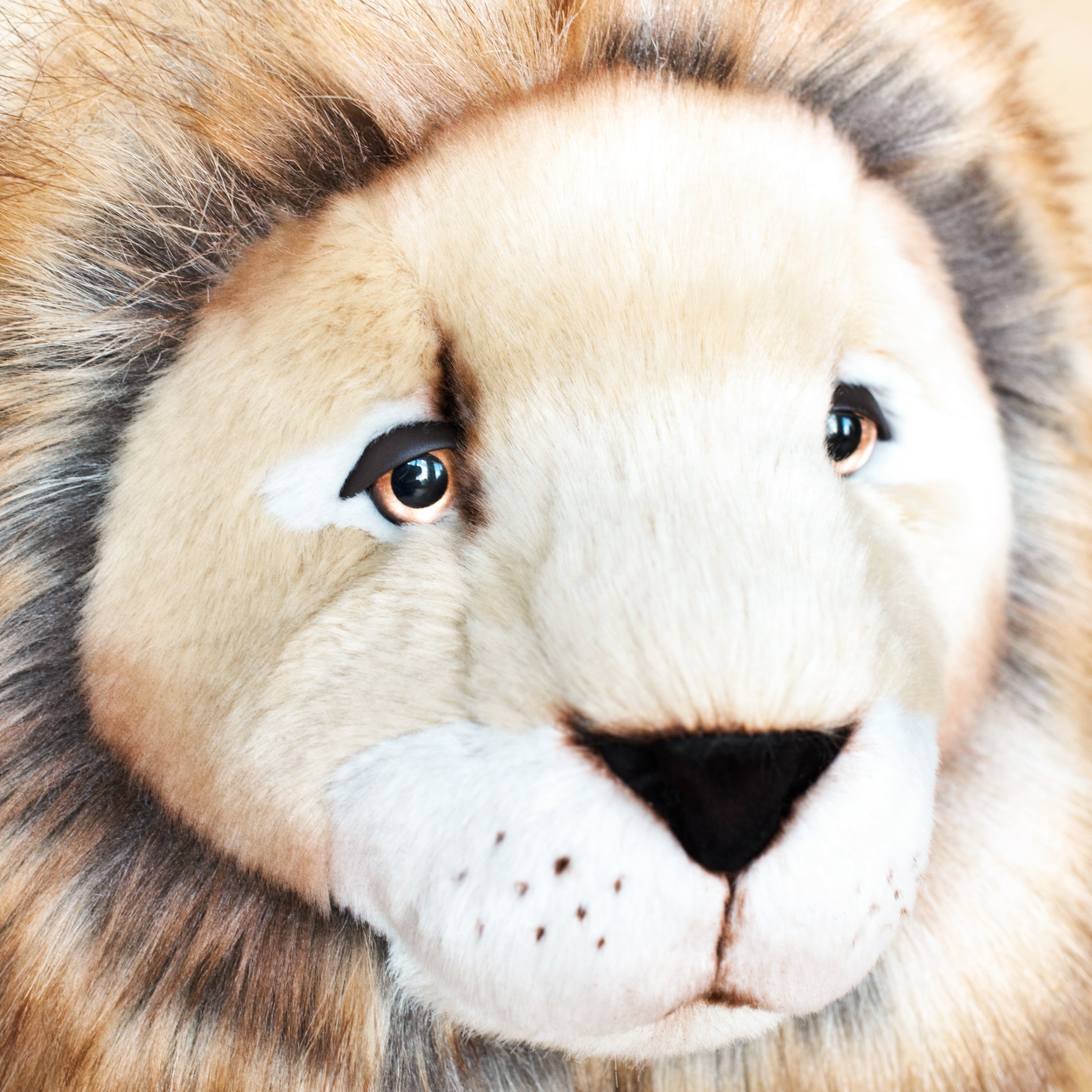 la-pelucherie-melchior-peluche-lion-petit-40-cm-crini-re image 2