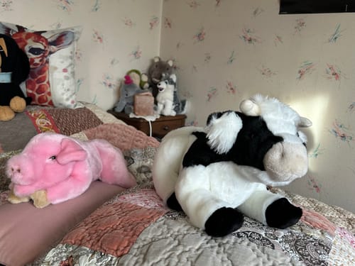 Jolie vache
