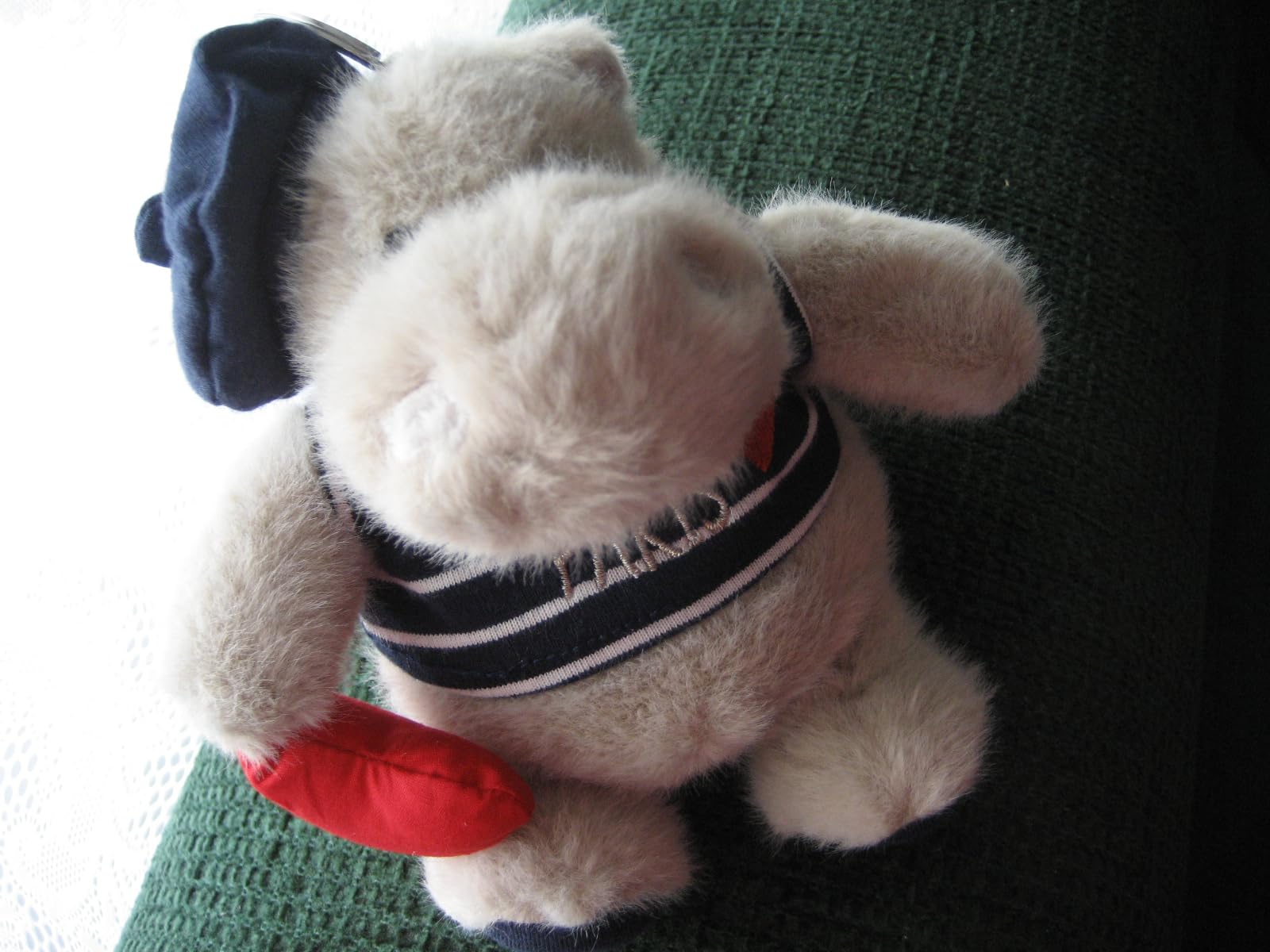 Mignon sur photo