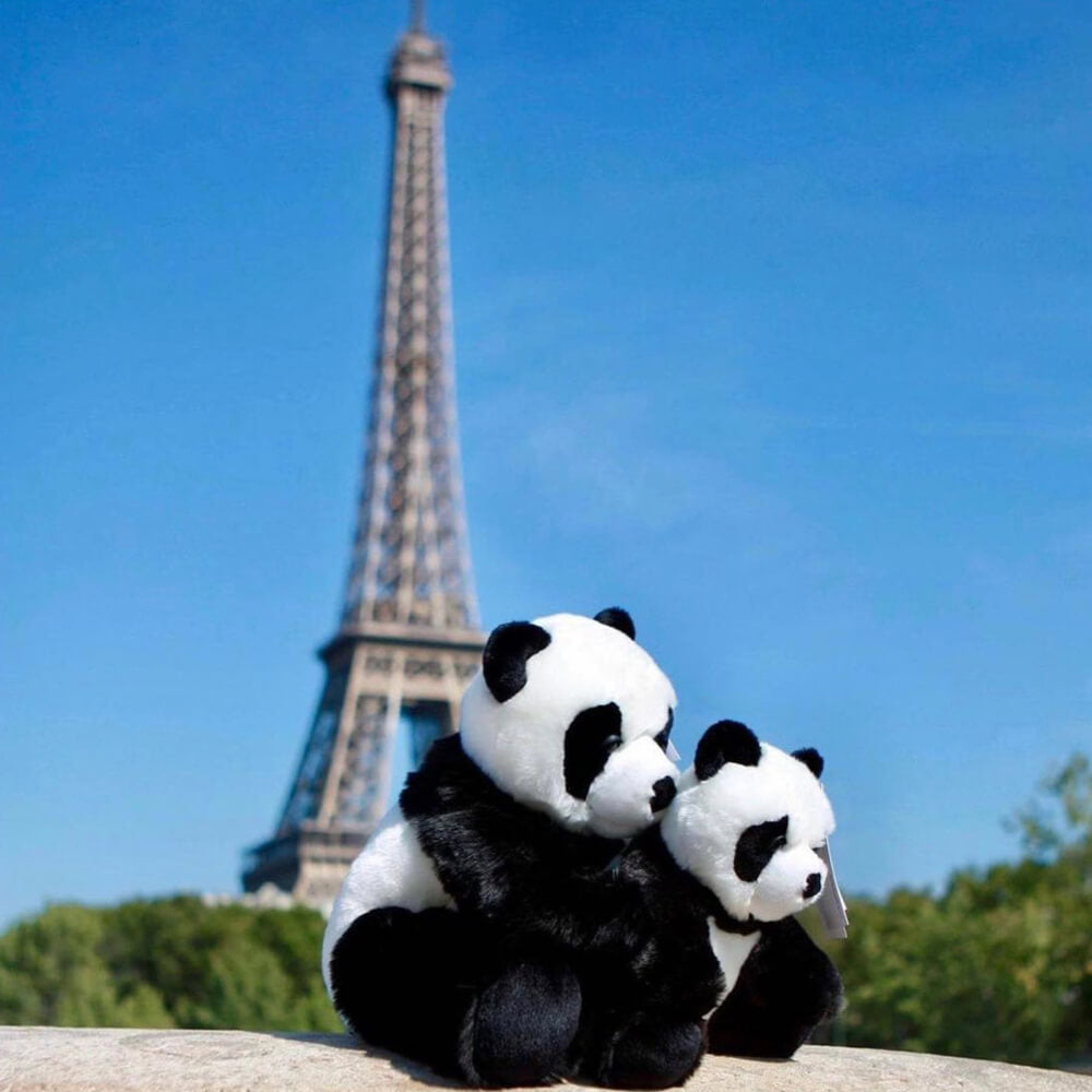 la-pelucherie-sam-panda-peluche-douce-28-cm-personnalisable image 7