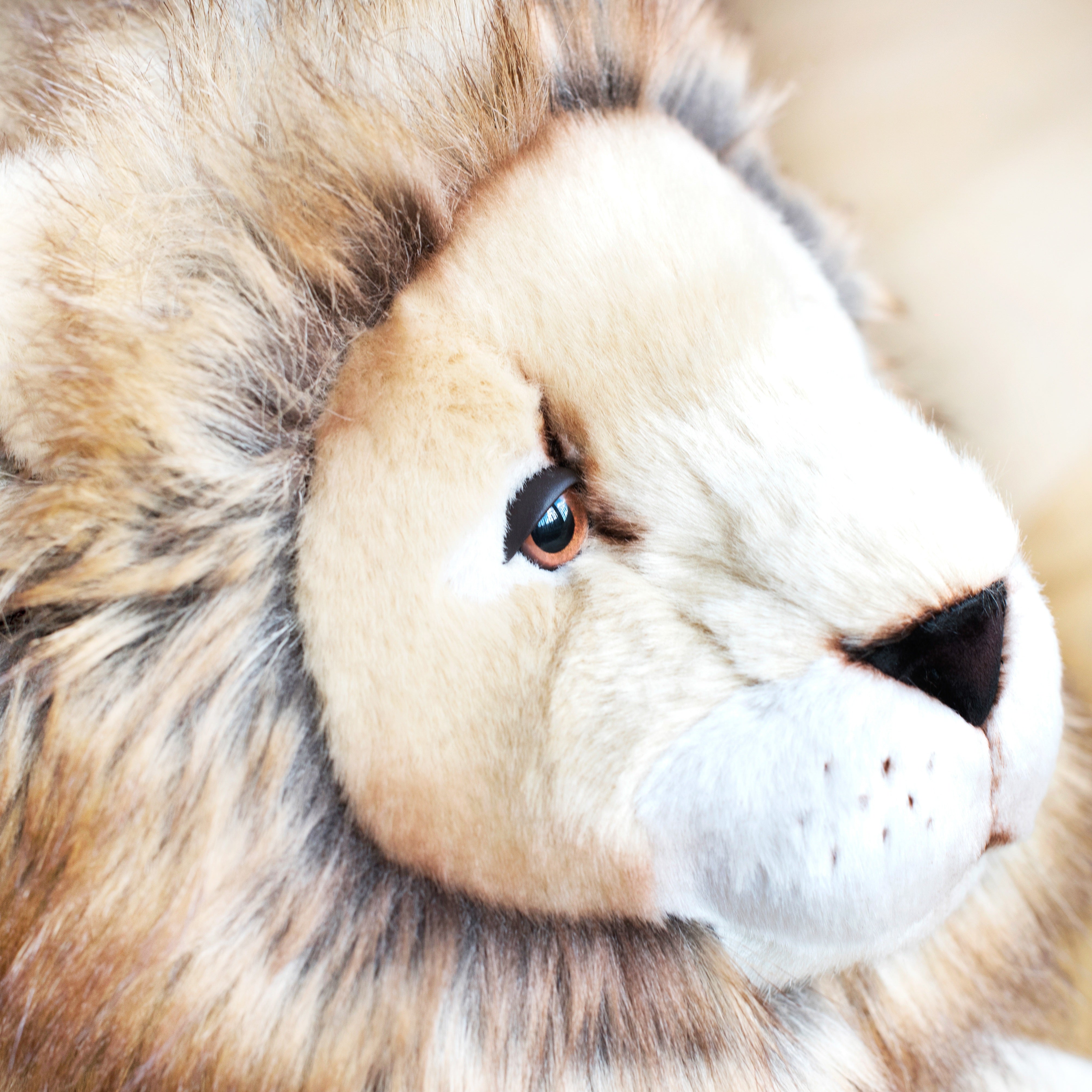 la-pelucherie-melchior-peluche-lion-petit-40-cm-crini-re image 5