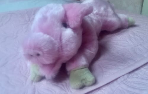 Joli cochon