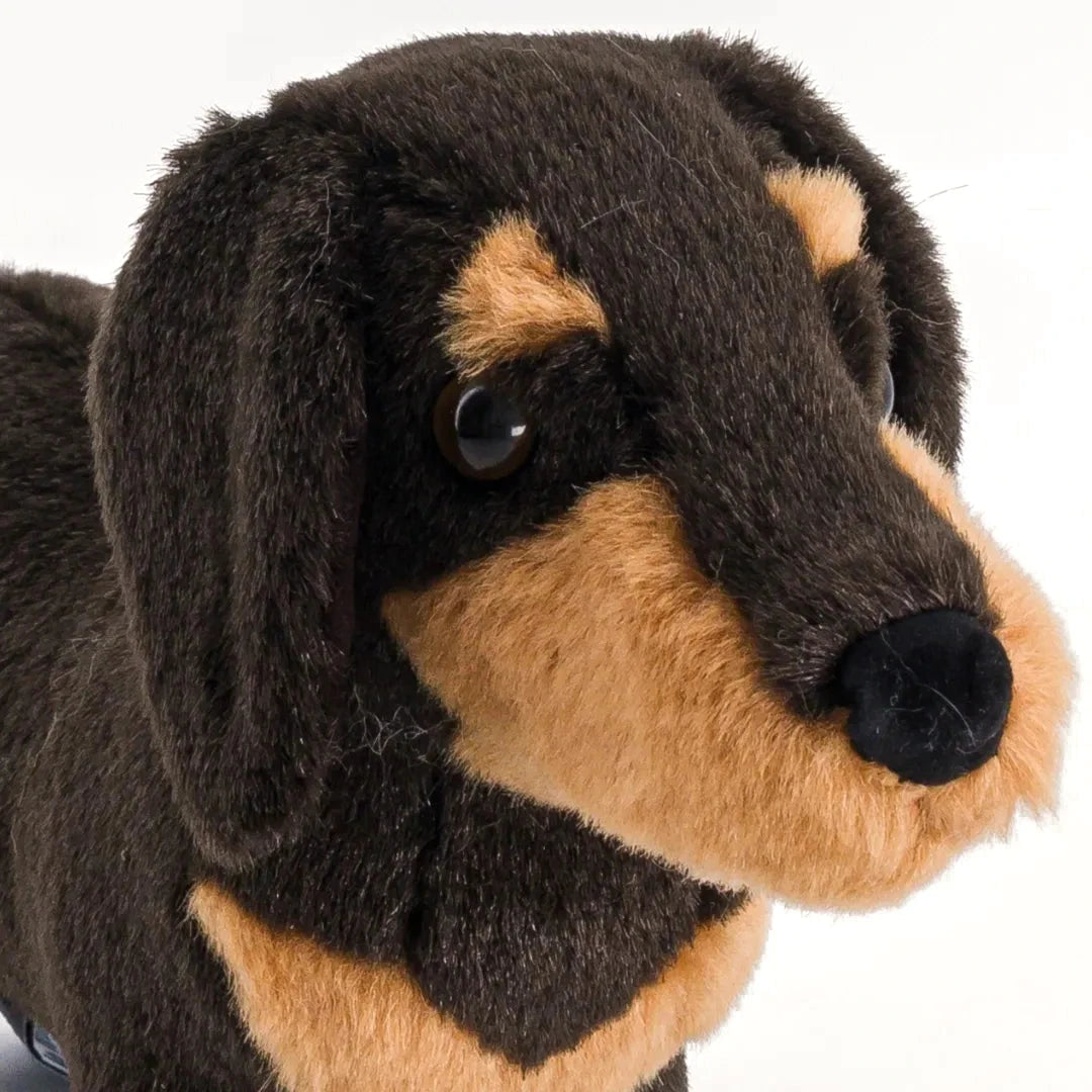 la-pelucherie-eug-ne-peluche-teckel-moyen-40-cm-marron image 2