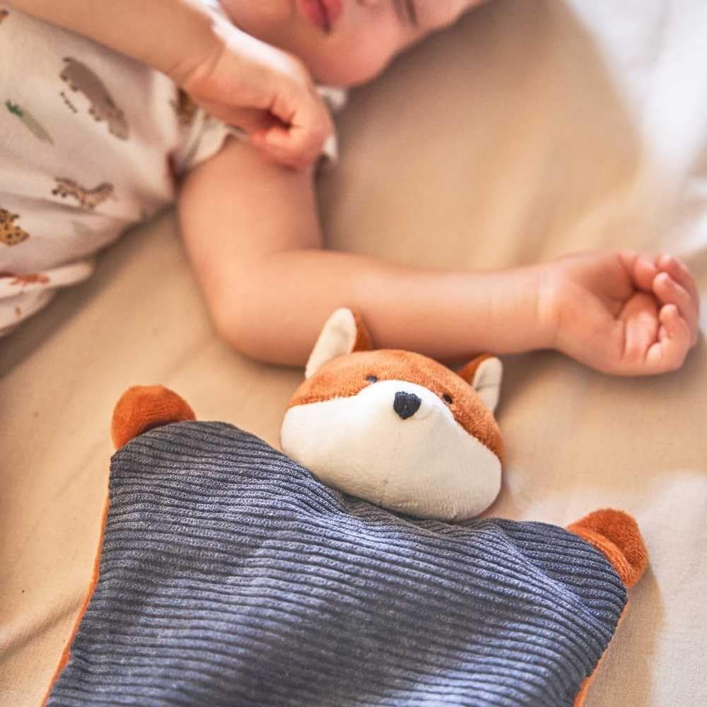 pelucho-bouillotte-b-b-renard-peluche-micro-ondable-lavande image 4