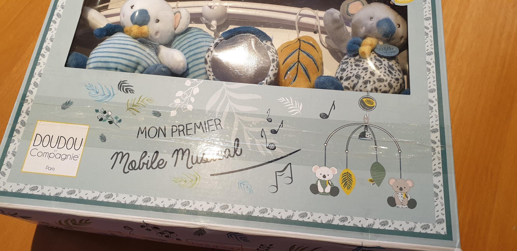 Koala visible