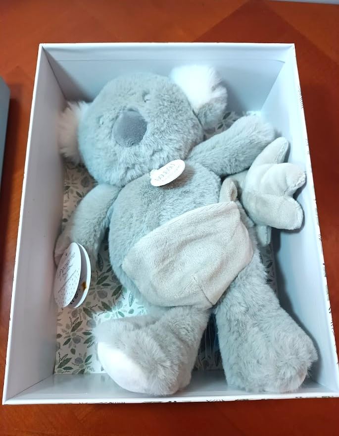 Deux koalas