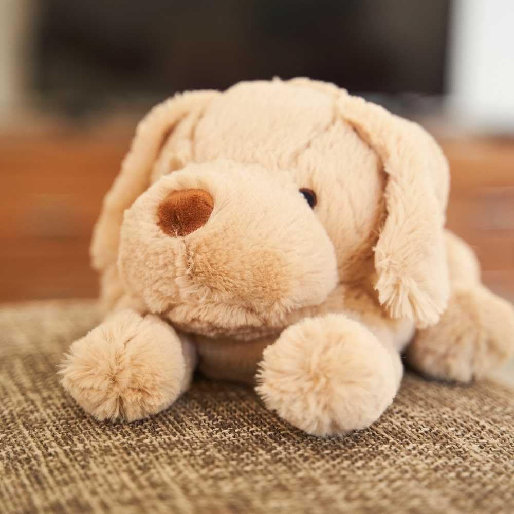 pelucho-bouillotte-peluche-chien-labrador-lavande-bl image 5