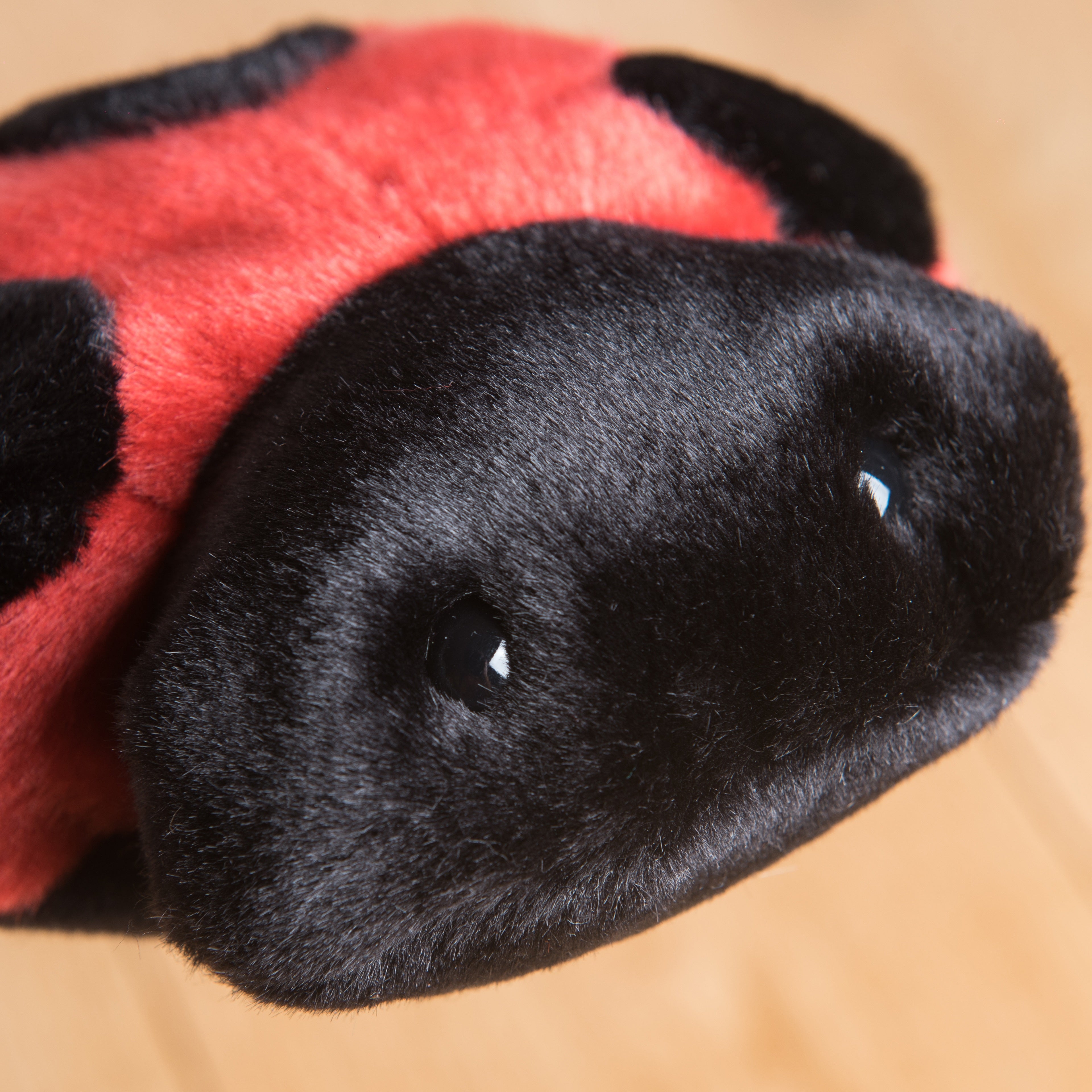 la-pelucherie-la-campagne-coccinelle-lily-peluche-petit-22-cm image 5