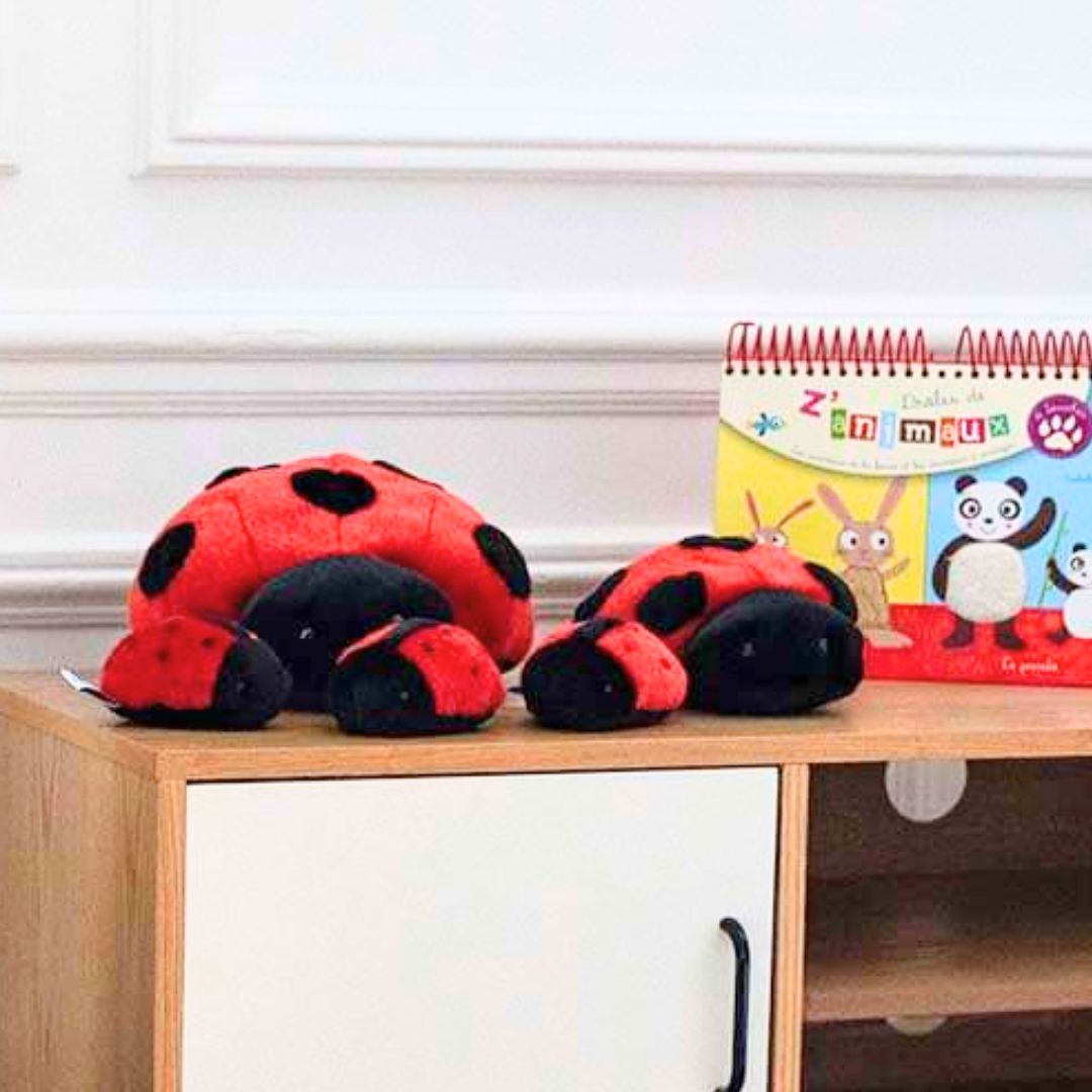 la-pelucherie-la-campagne-coccinelle-lily-peluche-petit-22-cm image 8