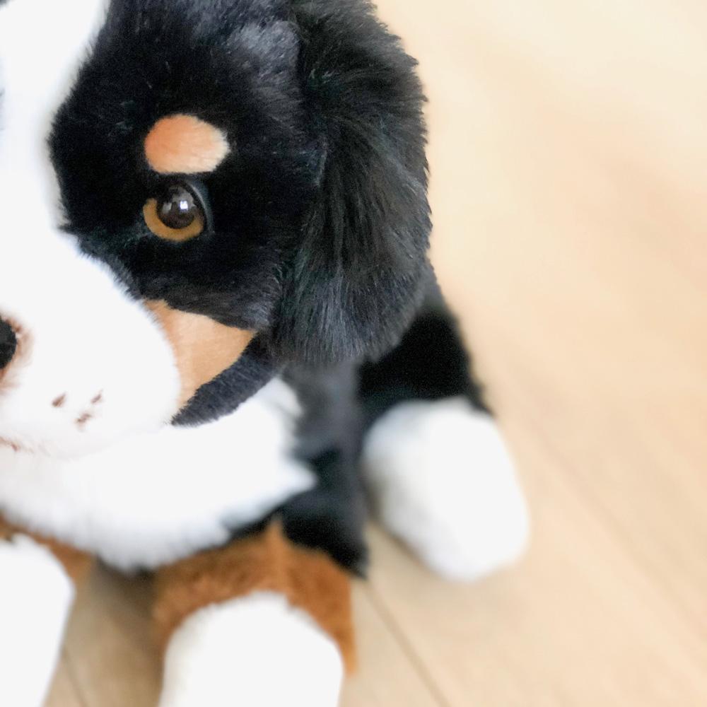 la-pelucherie-chiens-chien-ferdinand-peluche-petit-assis-28-cm image 4