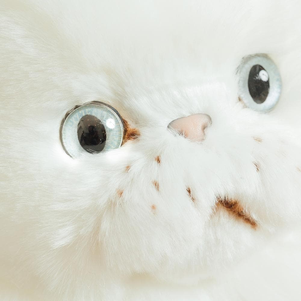 la-pelucherie-oscar-peluche-chat-moyen-assis-30-cm-blanc image 3