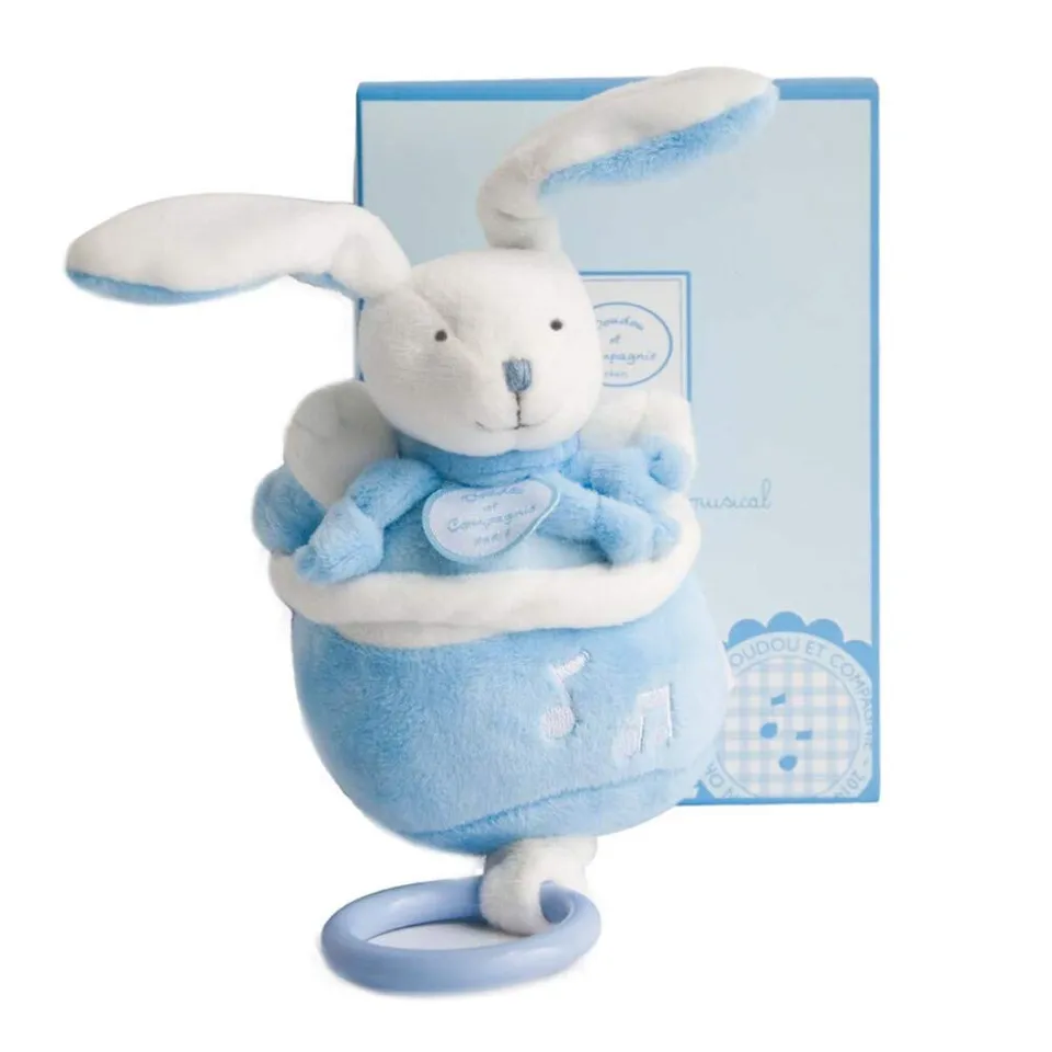 doudou-et-compagnie-cueillette-bo-te-musique-ours image 1