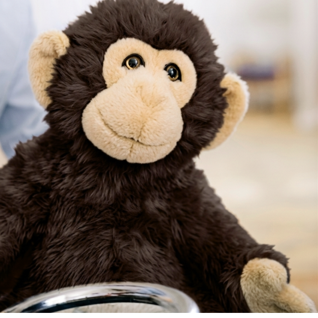 la-pelucherie-jungle-singe-marcel-marron-peluche-petit-35-cm image 7
