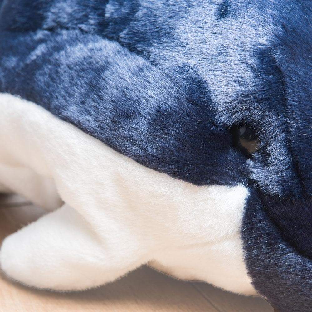 la-pelucherie-la-mer-dauphin-auguste-peluche-moyen-60-cm-bleu image 2
