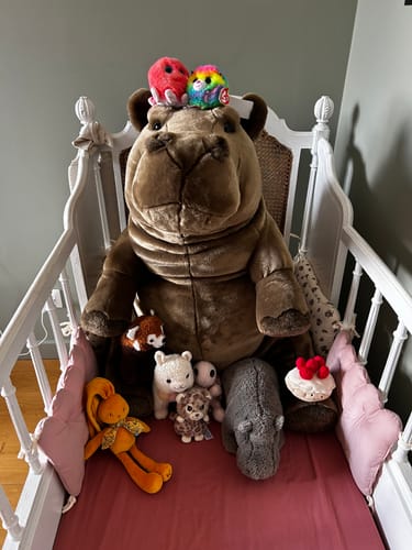 Gros hippo