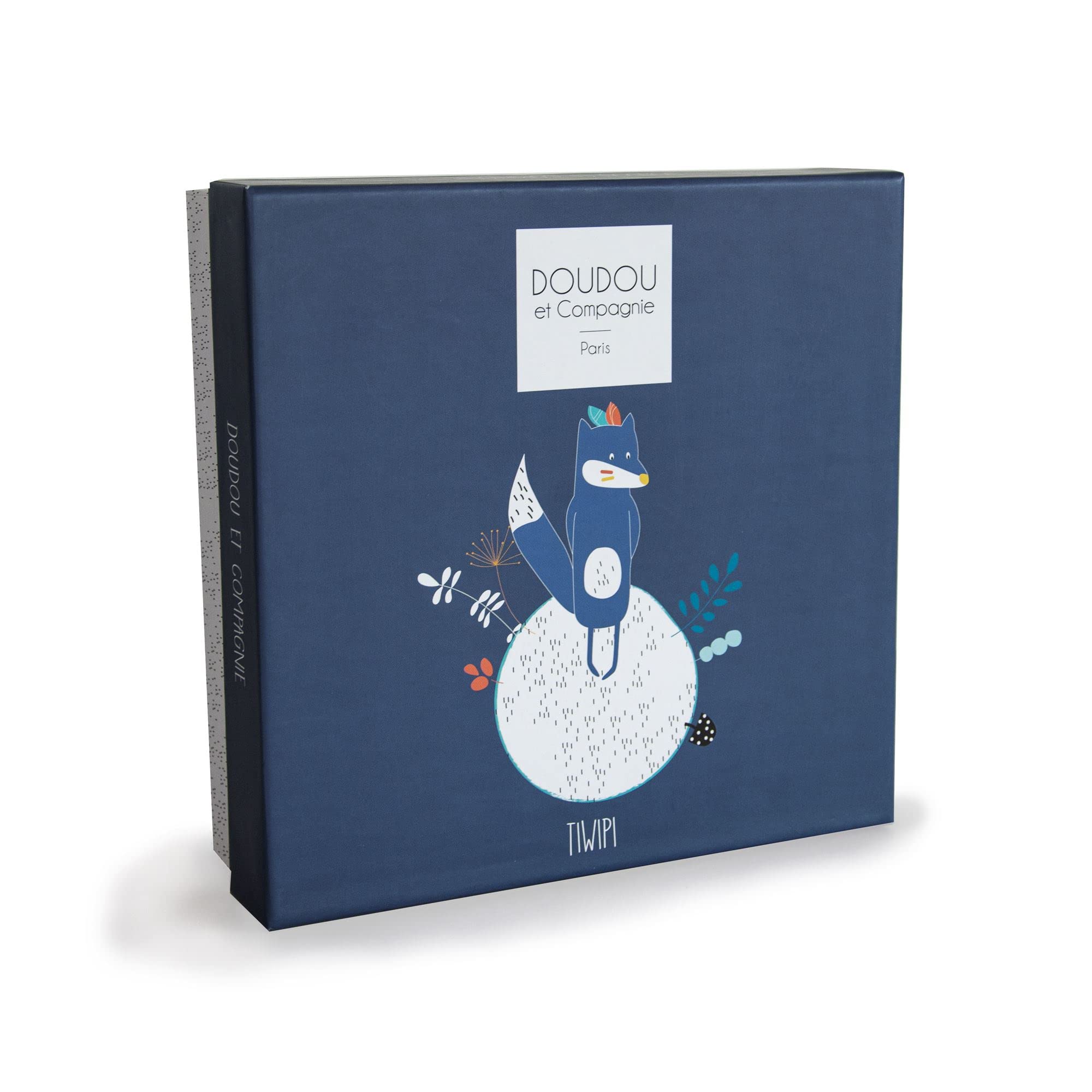 doudou-et-compagnie-doudou-plat-loup-tiwipi-bleu-23-cm-dc3640 image 3