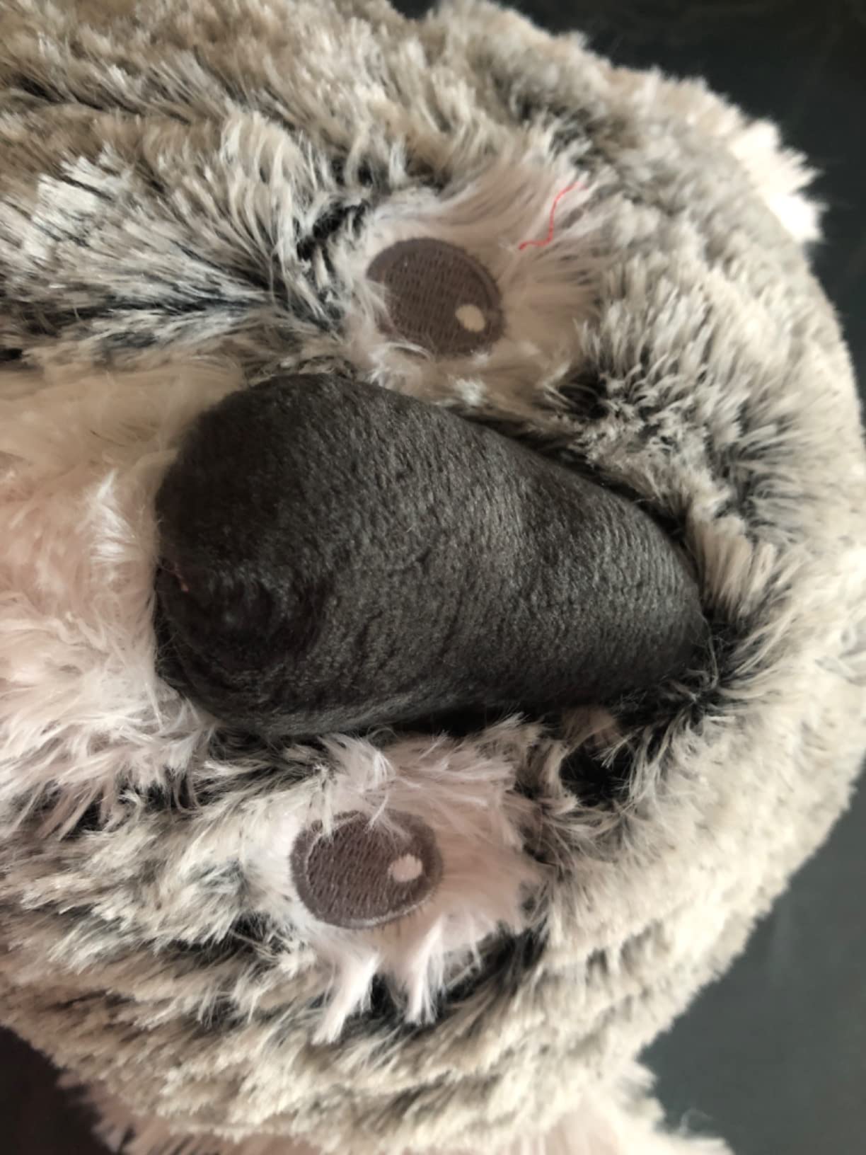 Dort avec
