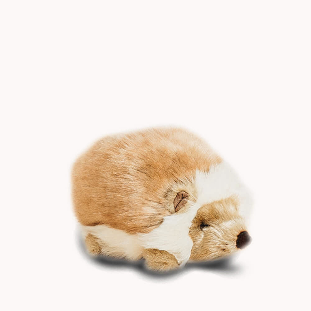 la-pelucherie-for-t-alfred-peluche-h-risson-20-cm image 4