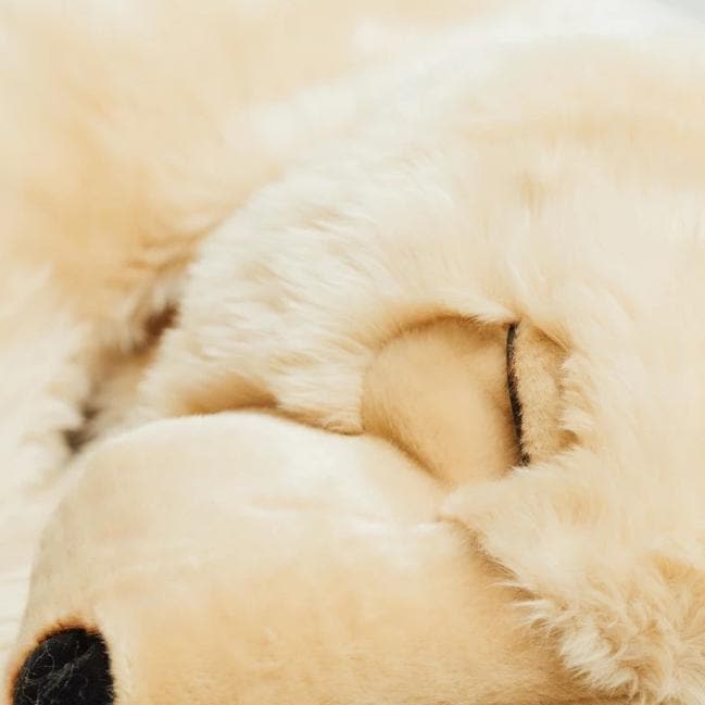 la-pelucherie-ours-lucien-peluche-moyen-65-cm-miel image 4