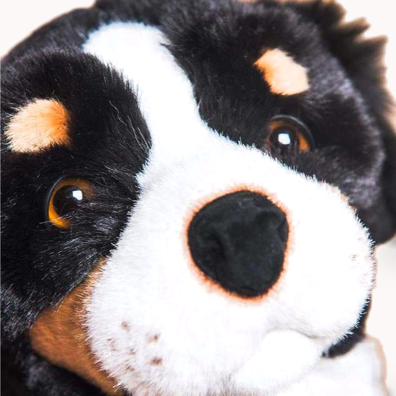 la-pelucherie-chiens-chien-ferdinand-peluche-petit-assis-28-cm image 1