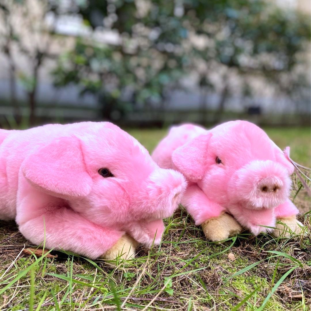 la-pelucherie-cochon-georges-peluche-moyen-40-cm-rose image 6
