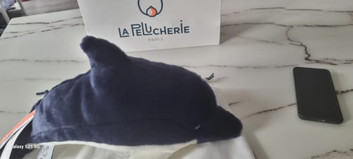 Forme allongée