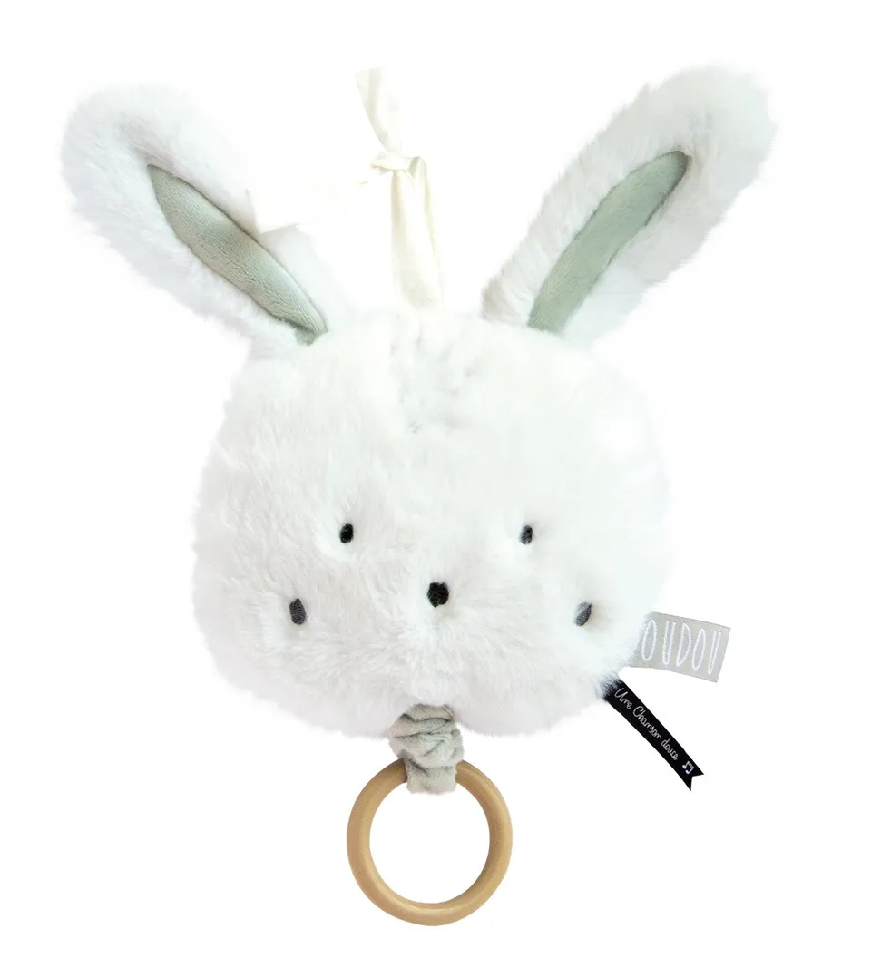 doudou-et-compagnie-aussi-doux-lapin-bo-te-musique-17cm image 1