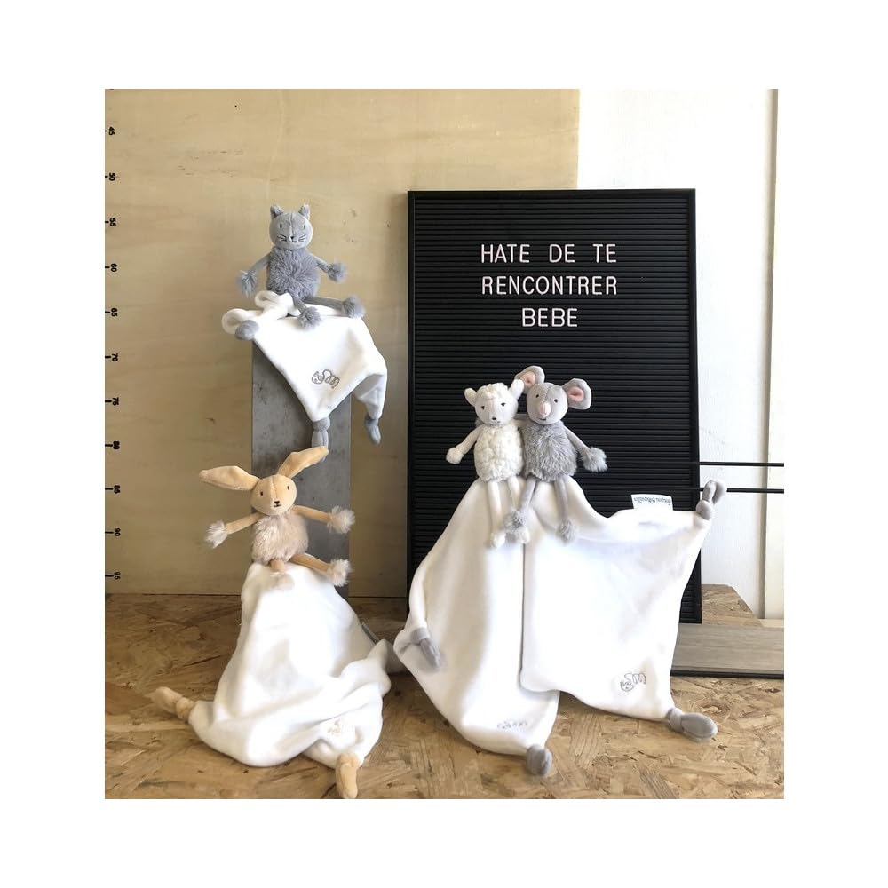 pioupiou-merveilles-les-doux-bidous-valentin-lapin-doudou-plat image 4